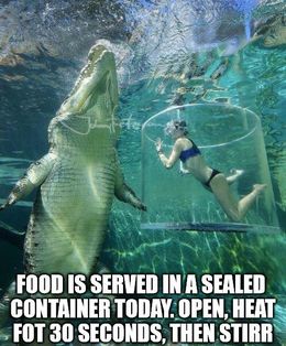 Sealed container memes